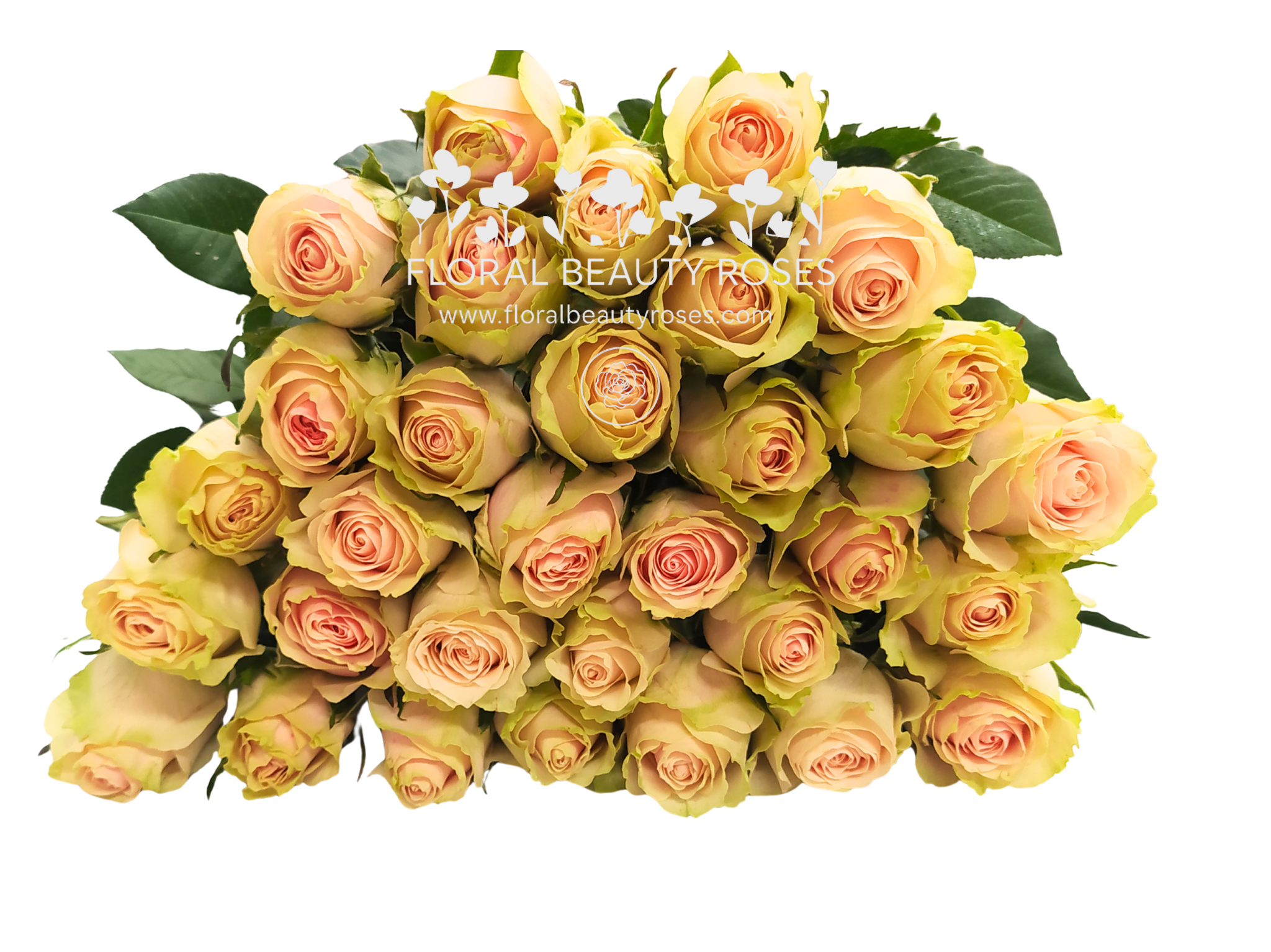 Fruteto Rose