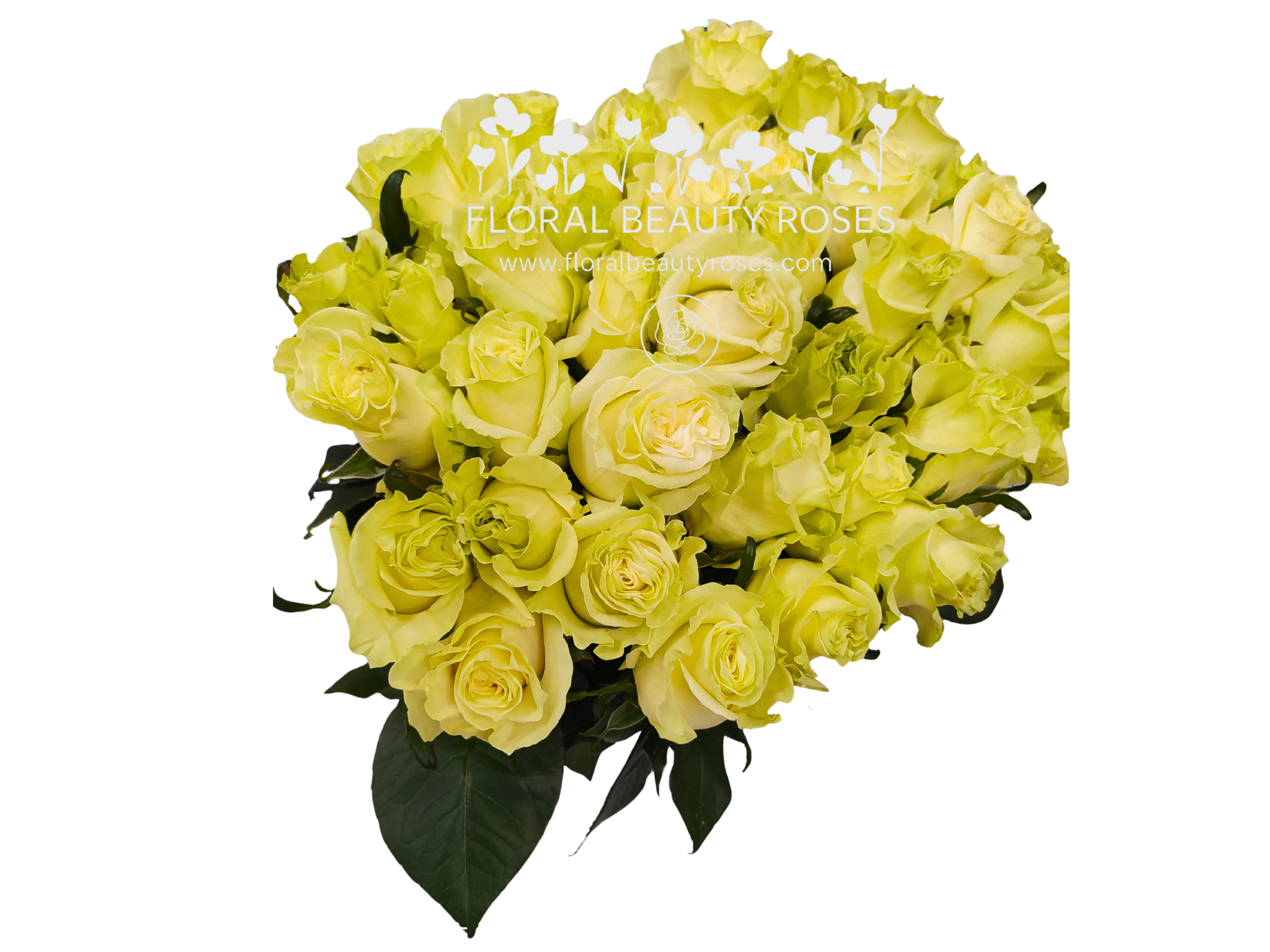 Mondial Rose